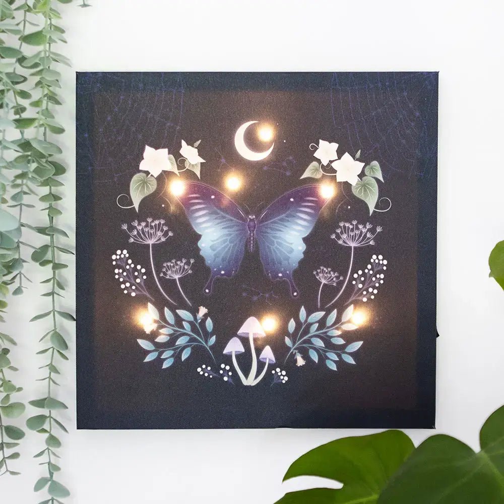 Midnight Moth Light Up Canvas Plaque - Ziya Blue