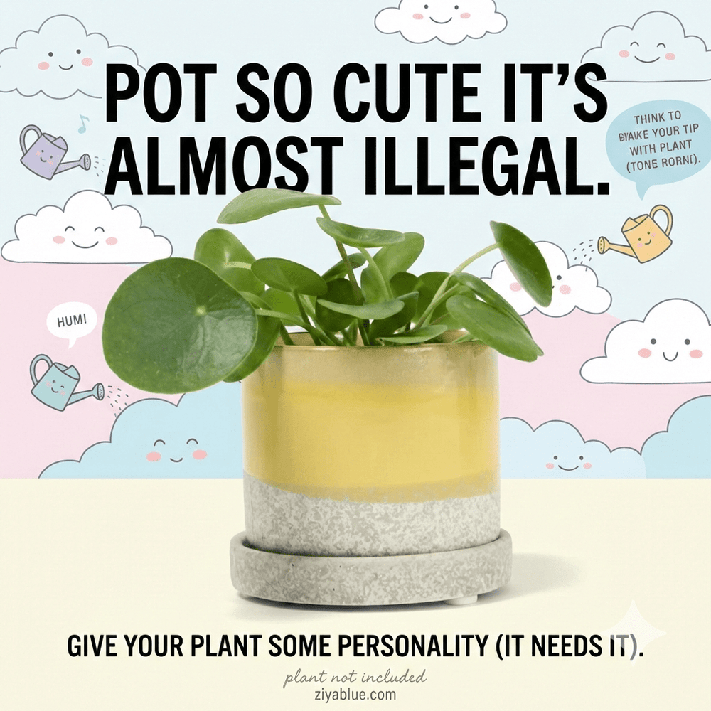 "Minute" 5" Ceramic Pot & Saucer Set | Glazed Planter with Drainage - Ziya Blue