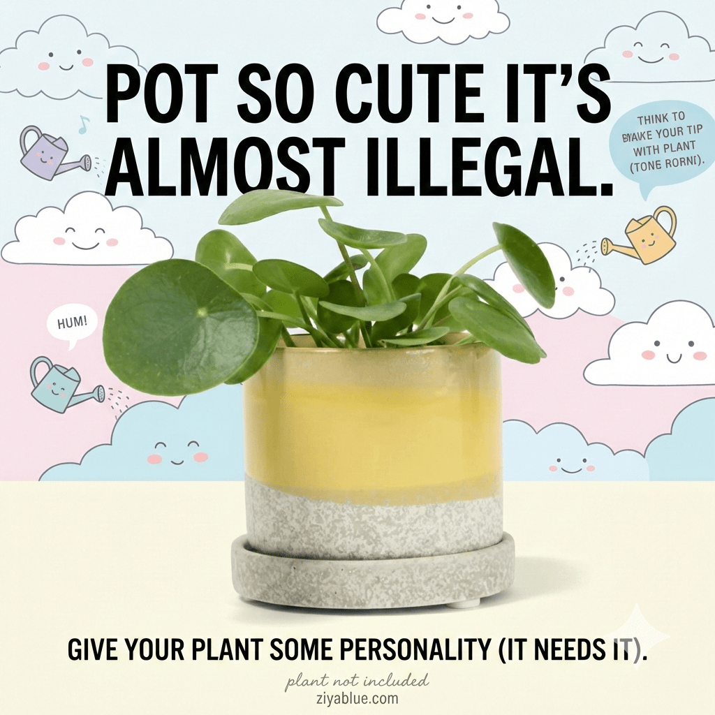 "Minute" 5" Ceramic Pot & Saucer Set | Glazed Planter with Drainage - Ziya Blue