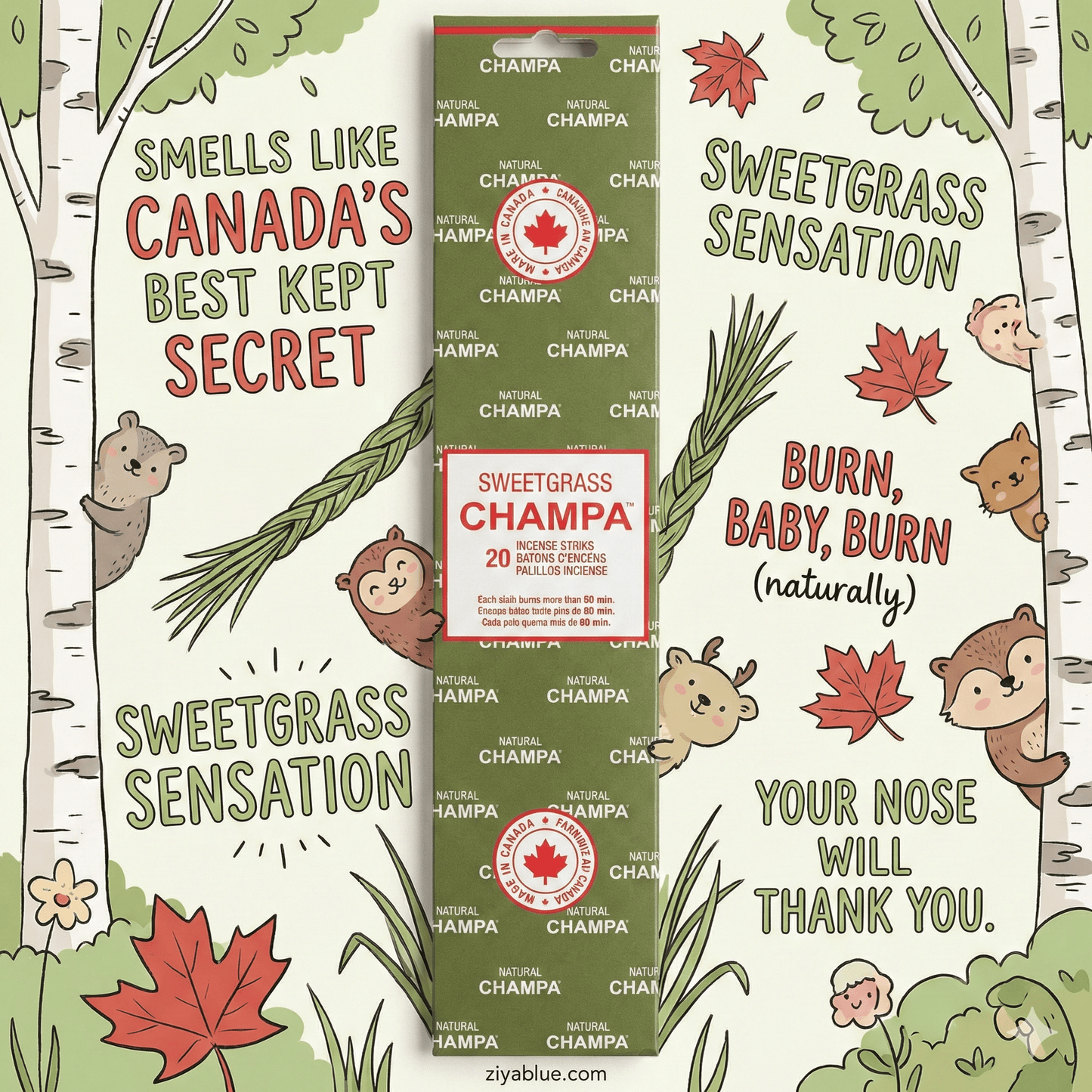 Natural Champa Sweetgrass Incense Sticks | Made in Canada - Ziya Blue