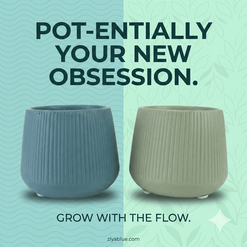 Ollie | 3" Ribbed Ceramic Planter – The Petite Pot with Personality - Ziya Blue