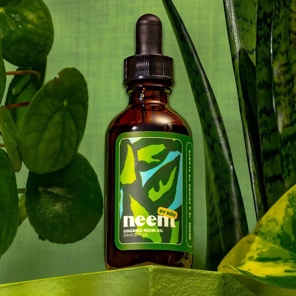 Organic Neem Oil - Ziya Blue