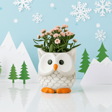 🦉 Owl Flower Pot - Ziya Blue