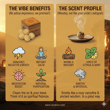 Palo Santo Smudge Bombs with Burner 🌟✨ - Ziya Blue