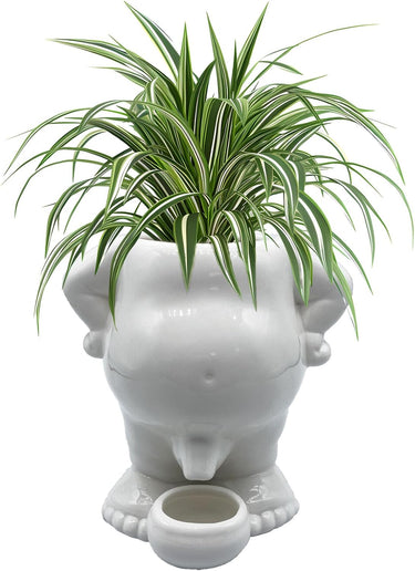 Peeing Body Drip Dry Planter - Ziya Blue