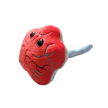 Placenta Plush - Ziya Blue