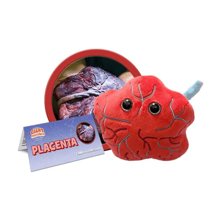 Placenta Plush - Ziya Blue