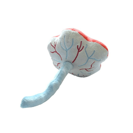 Placenta Plush - Ziya Blue