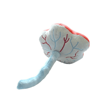 Placenta Plush - Ziya Blue