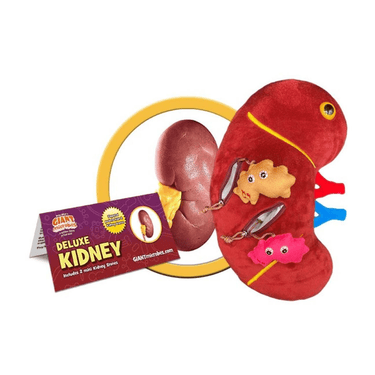 Plush Kidney: The Bean That Keeps You Clean! - Ziya Blue
