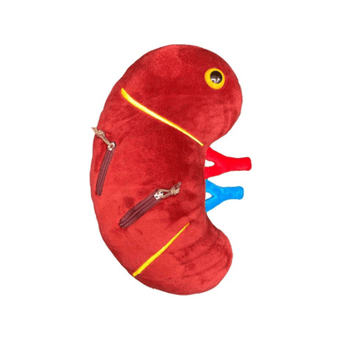 Plush Kidney: The Bean That Keeps You Clean! - Ziya Blue