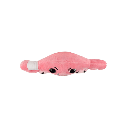 PMS Uterus Plush - Ziya Blue