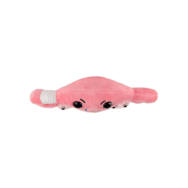 PMS Uterus Plush - Ziya Blue