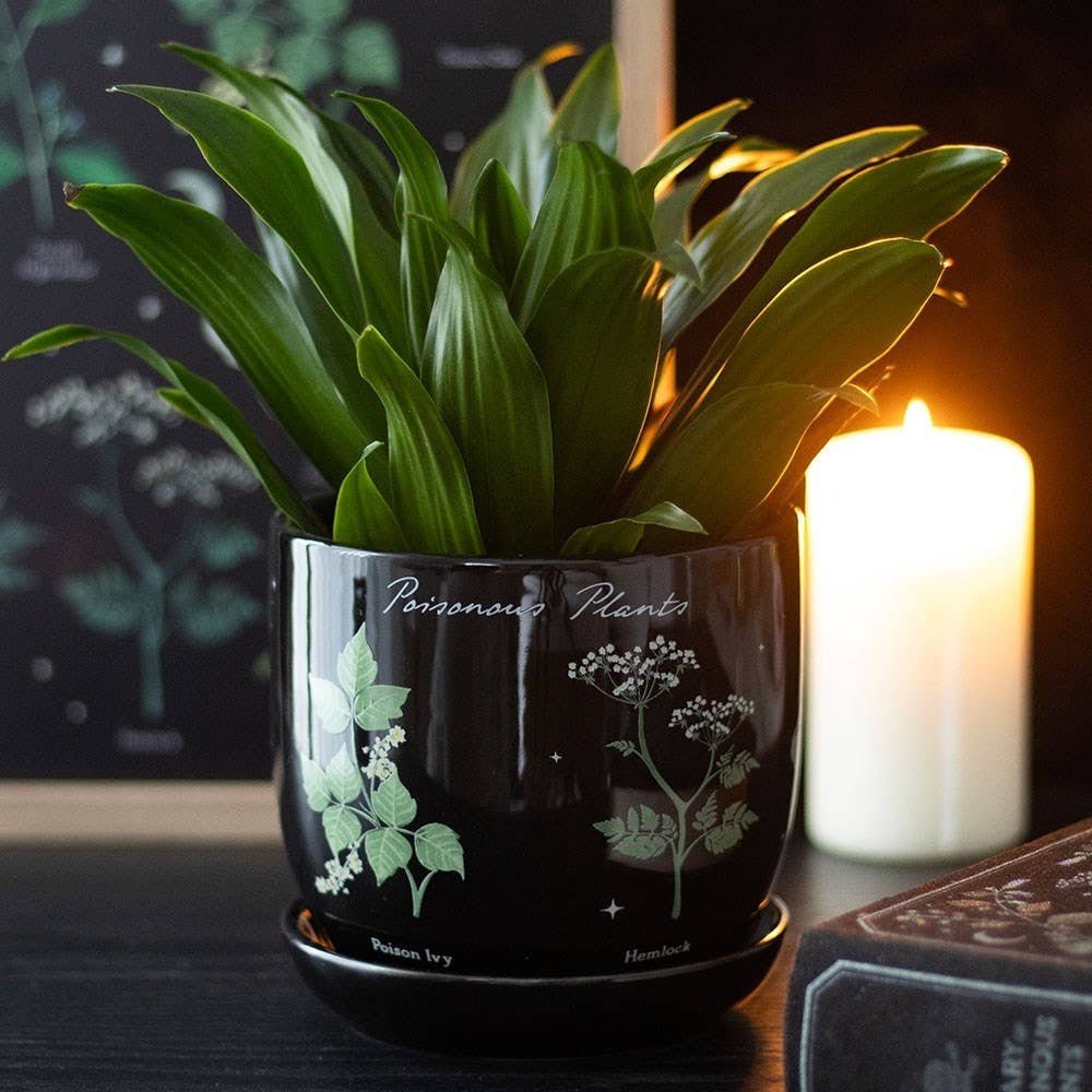 Poisonous Plants Ceramic Plant Pot - Ziya Blue