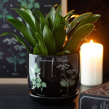 Poisonous Plants Ceramic Plant Pot - Ziya Blue