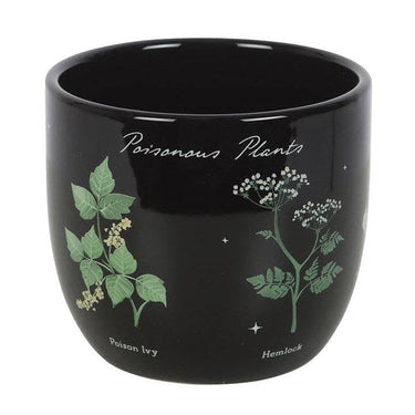 Poisonous Plants Ceramic Plant Pot - Ziya Blue