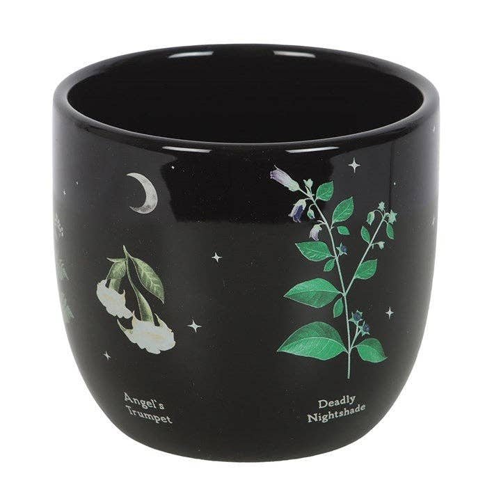 Poisonous Plants Ceramic Plant Pot - Ziya Blue