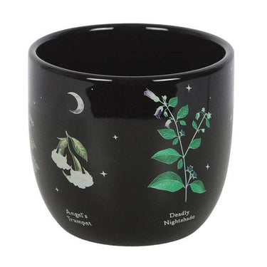 Poisonous Plants Ceramic Plant Pot - Ziya Blue