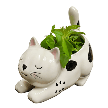 Raise Your Bum Kitty Planter - Ziya Blue