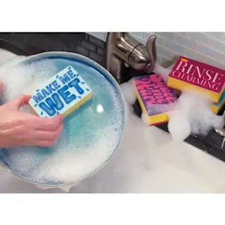 Rinse Charming/You're A Dish Sponge Set - Ziya Blue