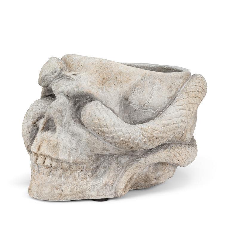 Skull Planter W/ Snake - Ziya Blue