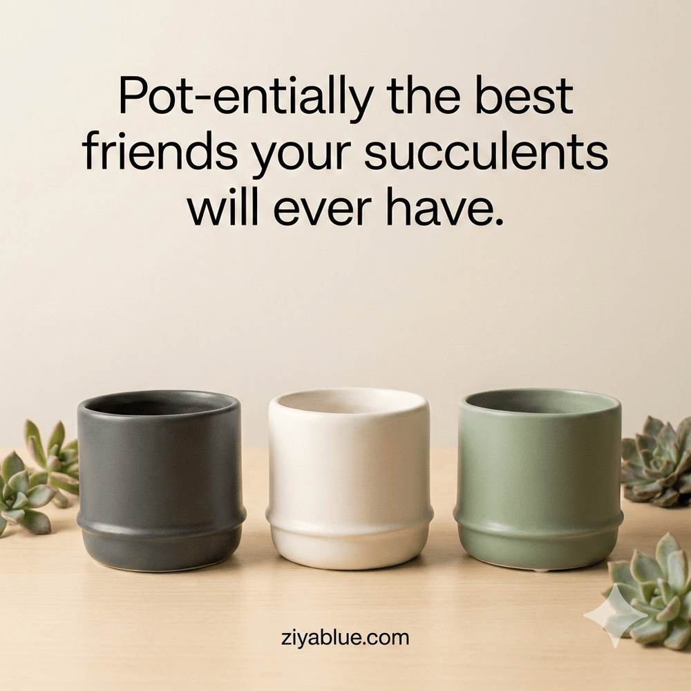 Small Polaris Pot | Minimalist Matte Ceramic Planter | Modern Succulent Pot - Ziya Blue