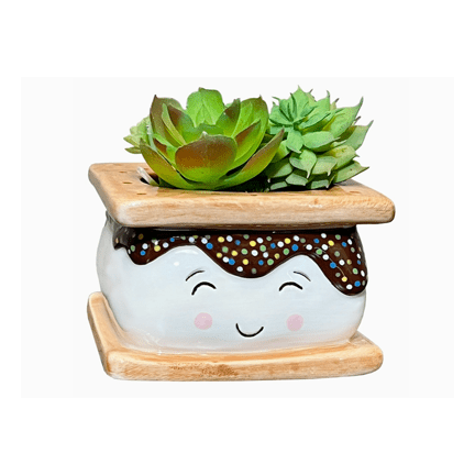 Smores Planter Small - Ziya Blue