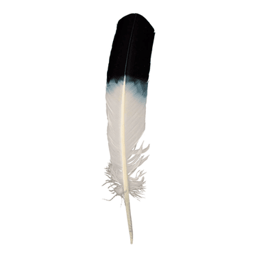Smudging Feather Eagle Imitation 8" - 12" - Ziya Blue