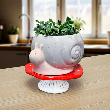 Snail & Mushroom Footsie Planter - Ziya Blue