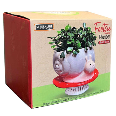 Snail & Mushroom Footsie Planter - Ziya Blue