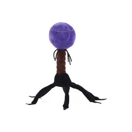T4 - Bacteriophage Plush - Ziya Blue