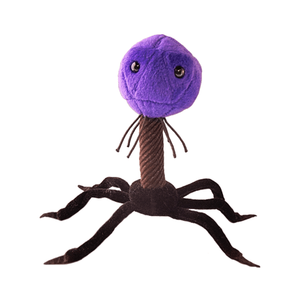 T4 - Bacteriophage Plush - Ziya Blue