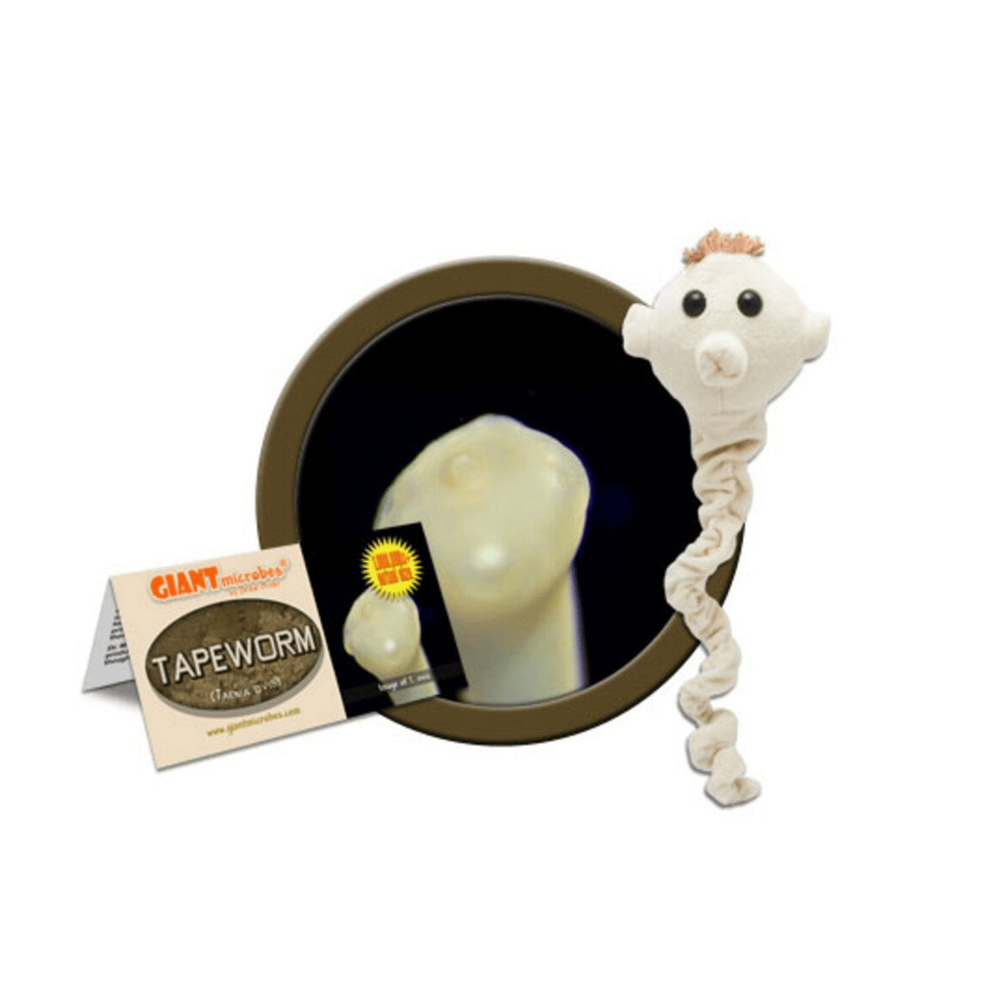 Tapeworm Plush - Ziya Blue