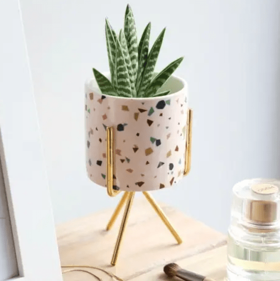 Terrazzo Mini Planter and Stand - Ziya Blue