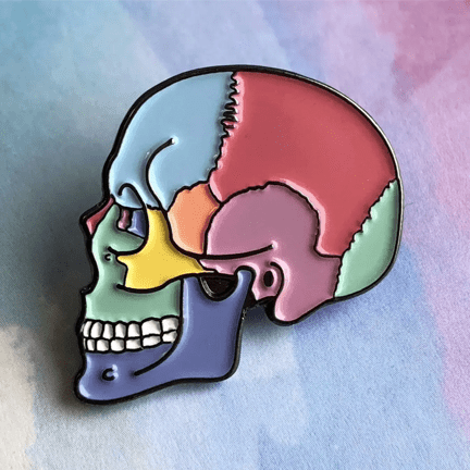 Textbook Anatomy Skull Pin - Ziya Blue