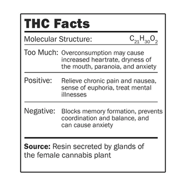 THC Plush Buddy: Your Best BUD in Learning! - Ziya Blue