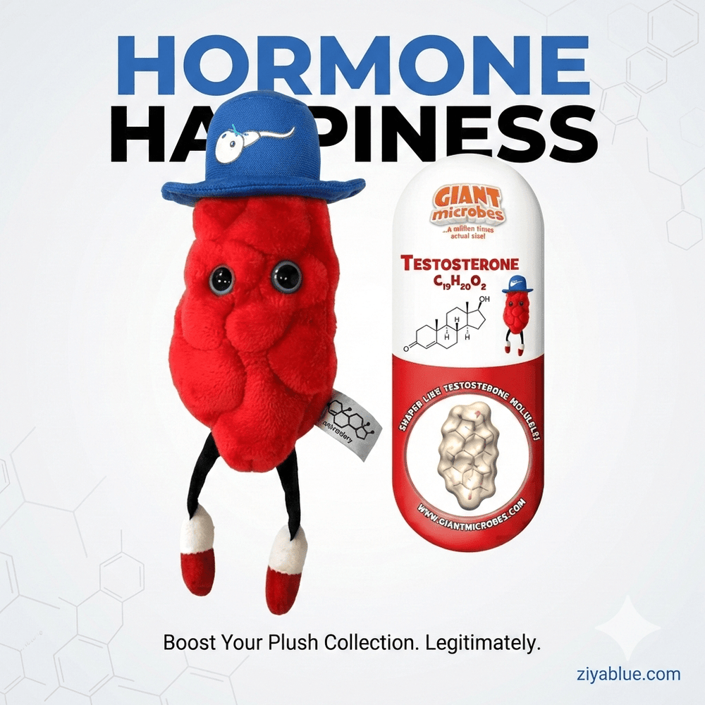 The "Big T" Testosterone Plush – Muscle, Mood & Molecular Hugs - Ziya Blue