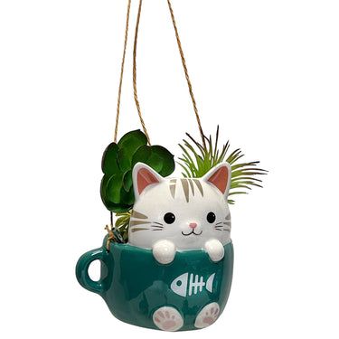 🐱 The Kitty Cup Collection - Ziya Blue