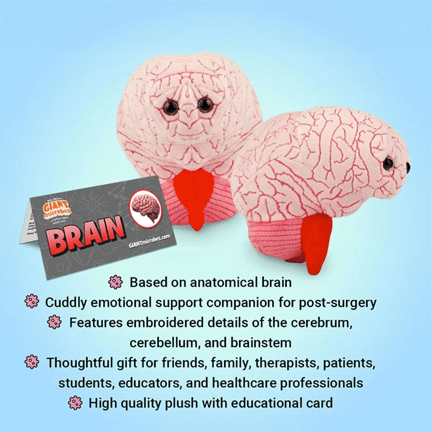 The Plush Brainiac Buddy - Ziya Blue