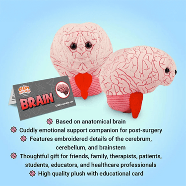 The Plush Brainiac Buddy - Ziya Blue