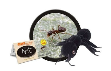 Un - BEE - lievably Adorable: The Plush Ant! - Ziya Blue