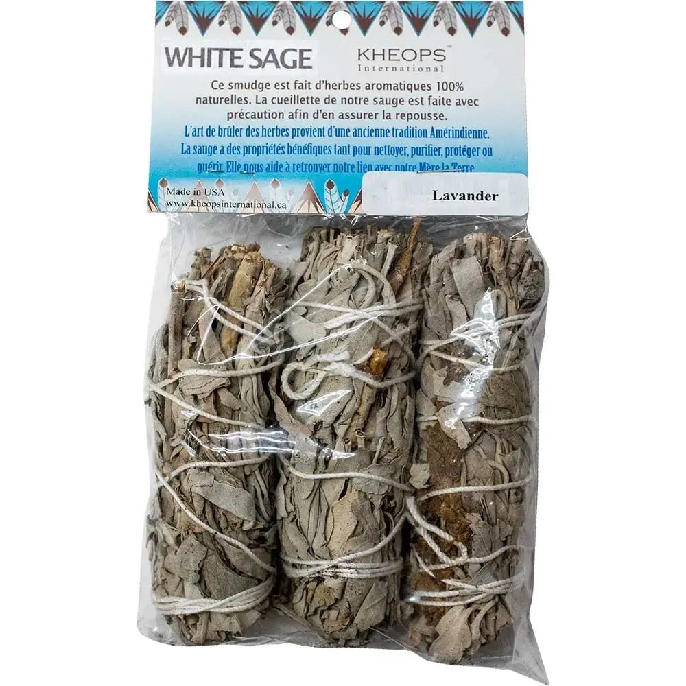White Sage & Lavender Smudge Sticks (3-Pack) | Hand-Tied Natural Cleansing Bundles - Ziya Blue