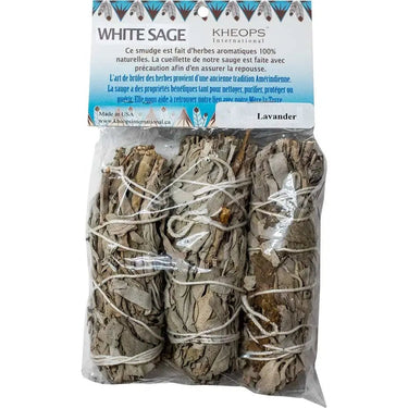 White Sage & Lavender Smudge Sticks (3-Pack) | Hand-Tied Natural Cleansing Bundles - Ziya Blue