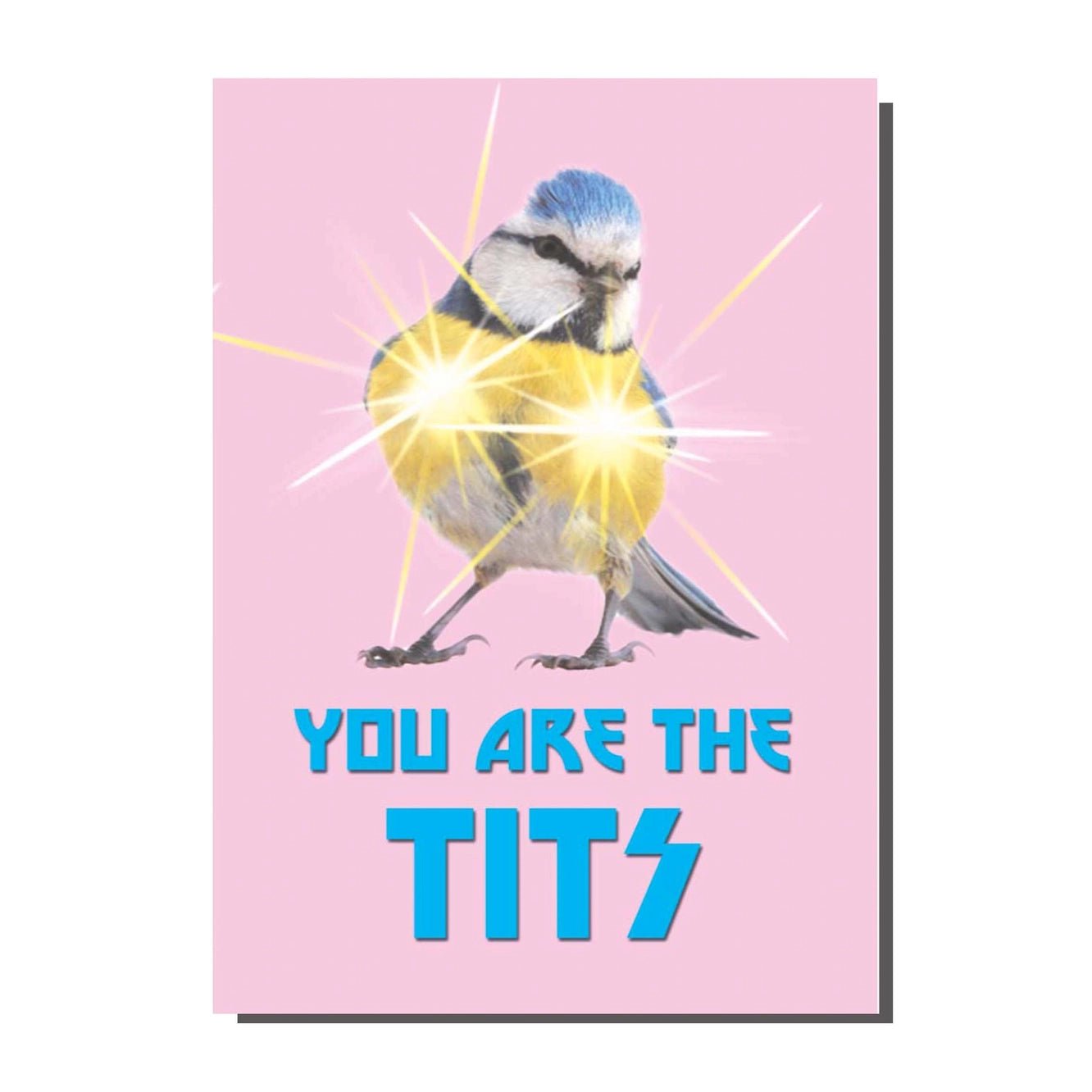 You Are the Tits Card - Ziya Blue