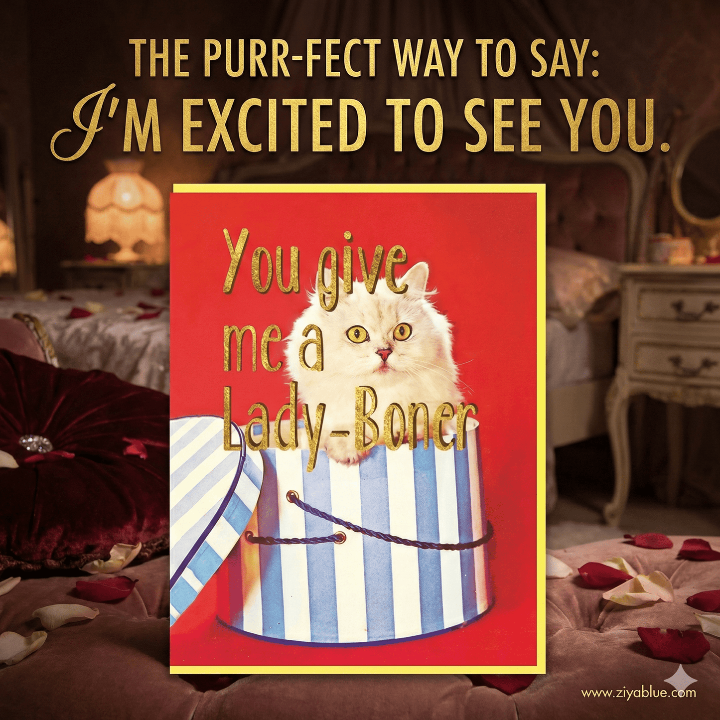 You Give Me A Lady Boner Card - Ziya Blue