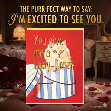 You Give Me A Lady Boner Card - Ziya Blue